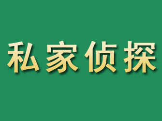 会东市私家正规侦探