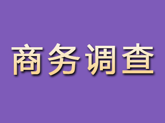 会东商务调查